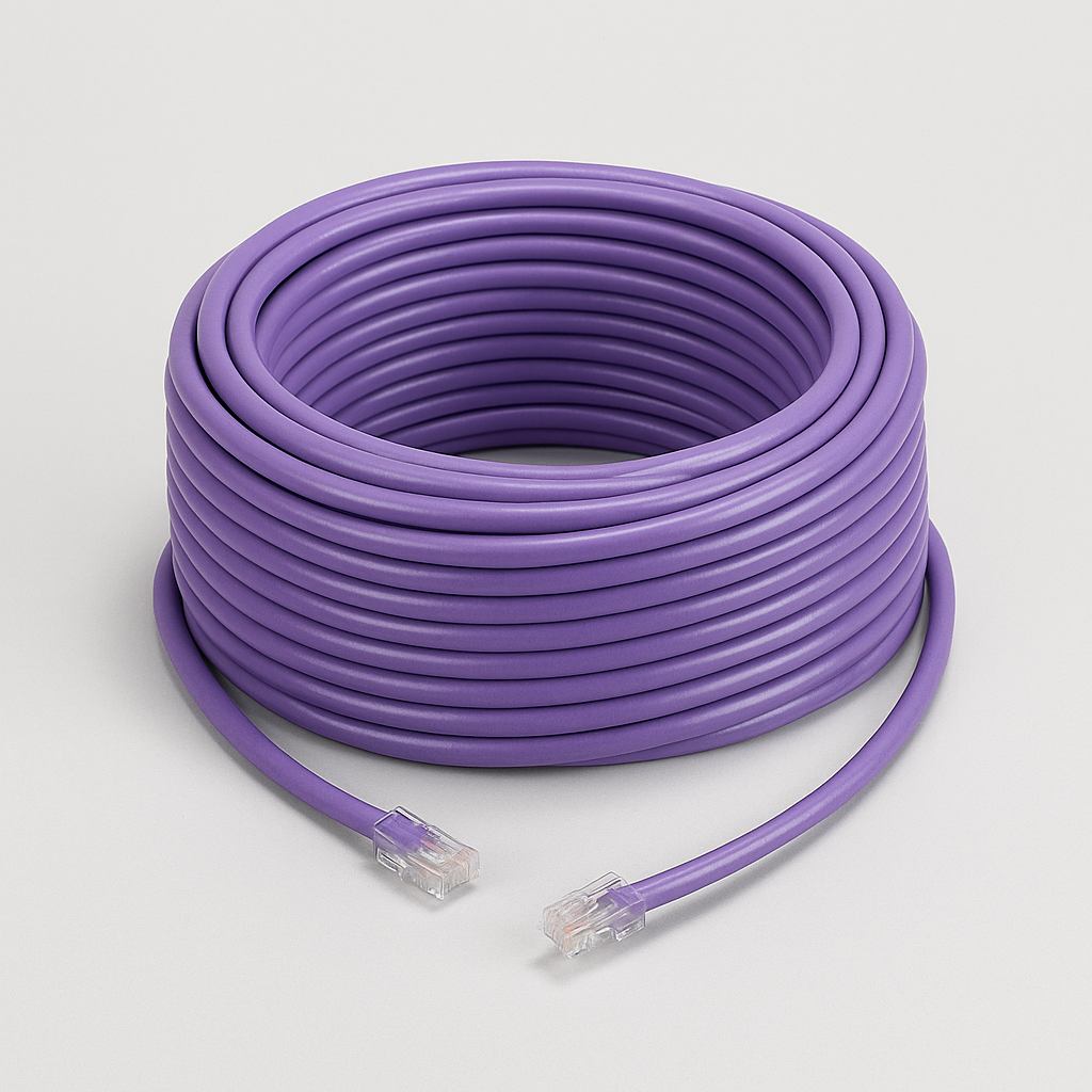 CAT6 Cable (100 ft)