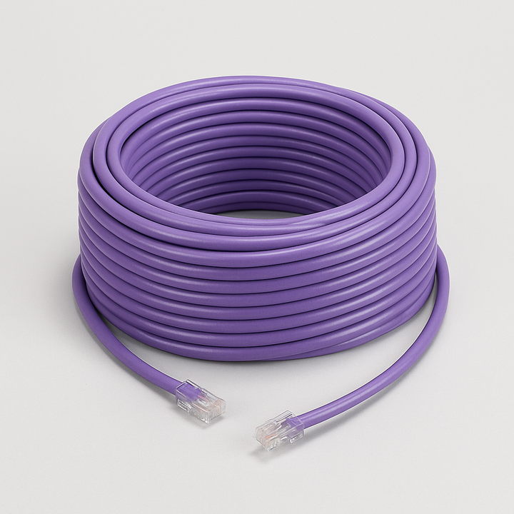 CAT6 Cable (100 ft)